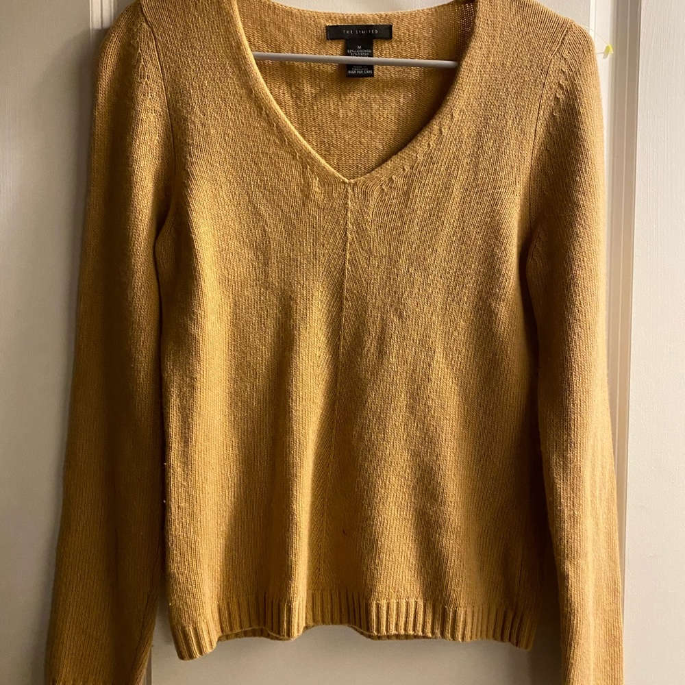 V-Neck sweater from the Limited